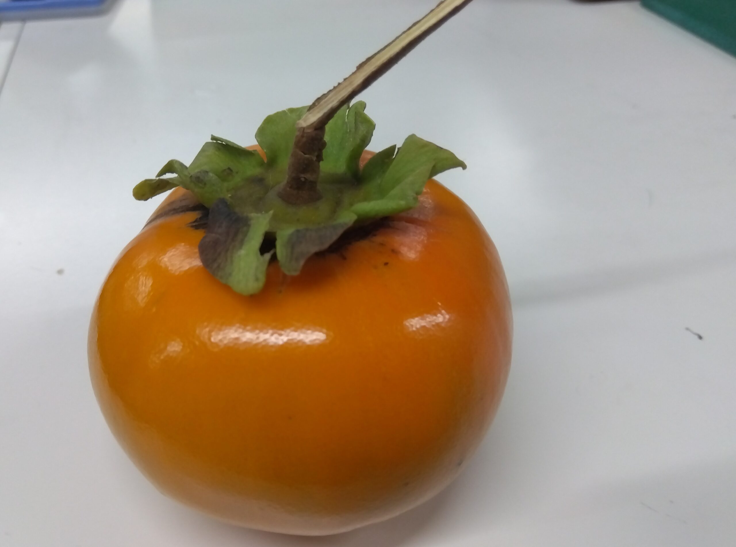 柿食へば・・・（秋の味覚）