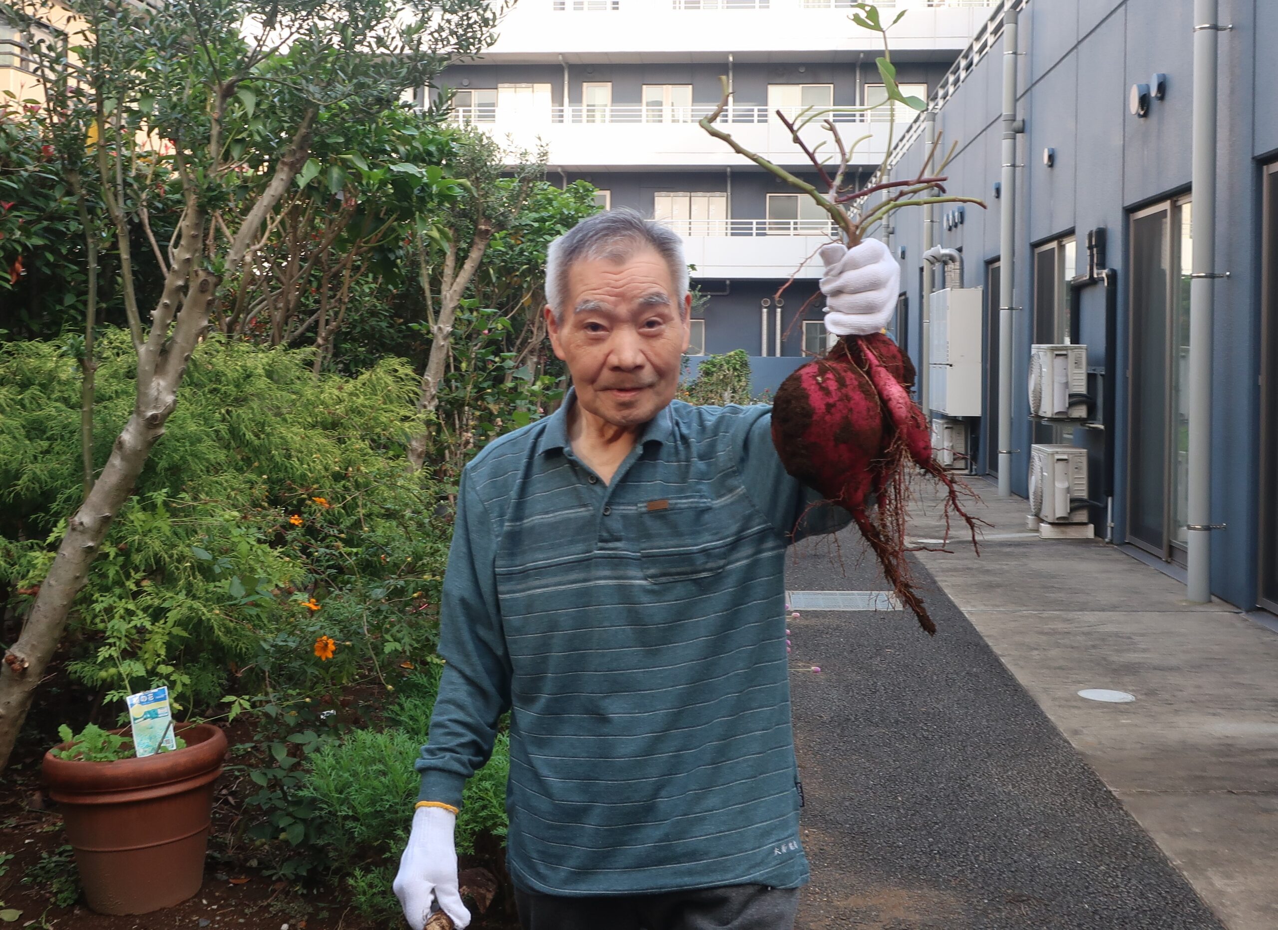 🍠さつまいも堀りをしました～🍠
